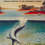 Pakicetus, uma baleia com pernas?